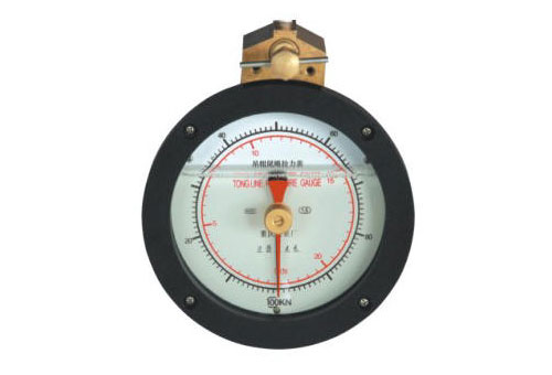 Hydraulic tong torque gauge with damper